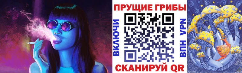 Галлюциногенные грибы прущие грибы  ссылка на мегу tor  Ставрополь 