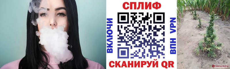 Бошки Шишки сатива  сколько стоит  маркетплейс наркотические препараты  Ставрополь 